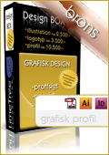 Design Box - grafisk profil silver för 5500 sek