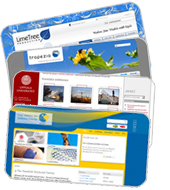 Hemsidor, Webb 2.0, Webbplatser, Bloggar, Communities, Banners