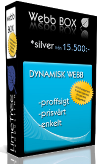 Webb BOX silver - Snygg hemsida snabbt och enkelt